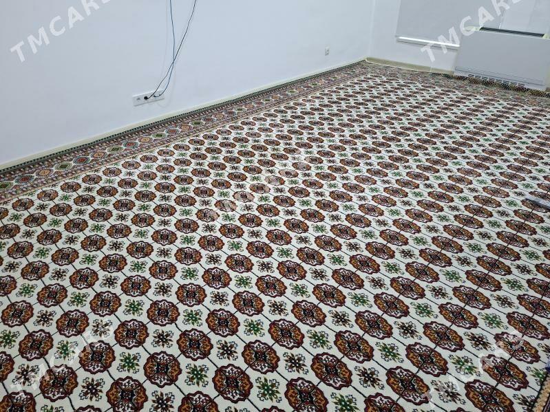 Abadan Haly Güneş 1nji Hil - Аркадаг - img 2