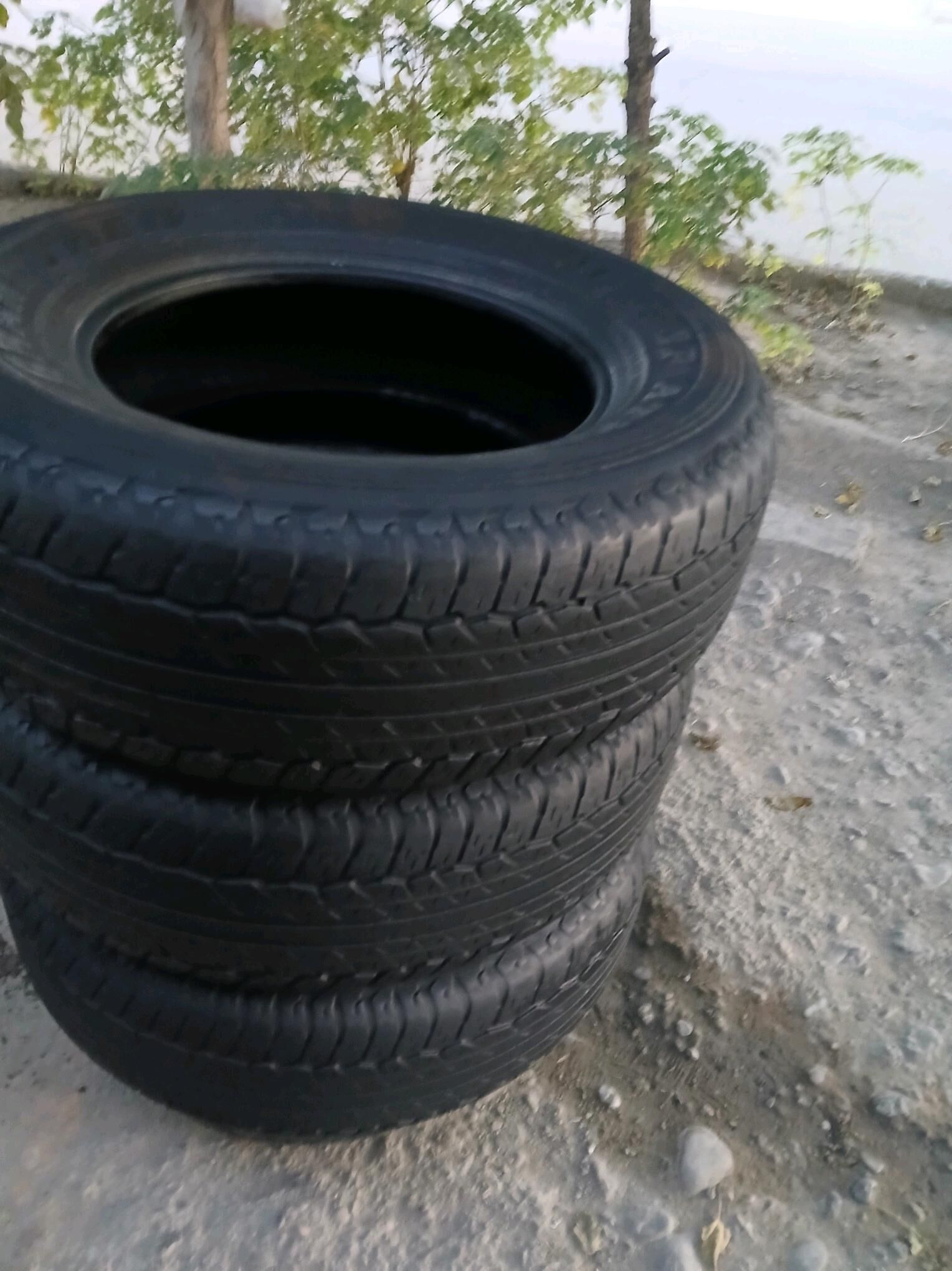 265 65 17 Dunlop 300 TMT - Бедев - img 4