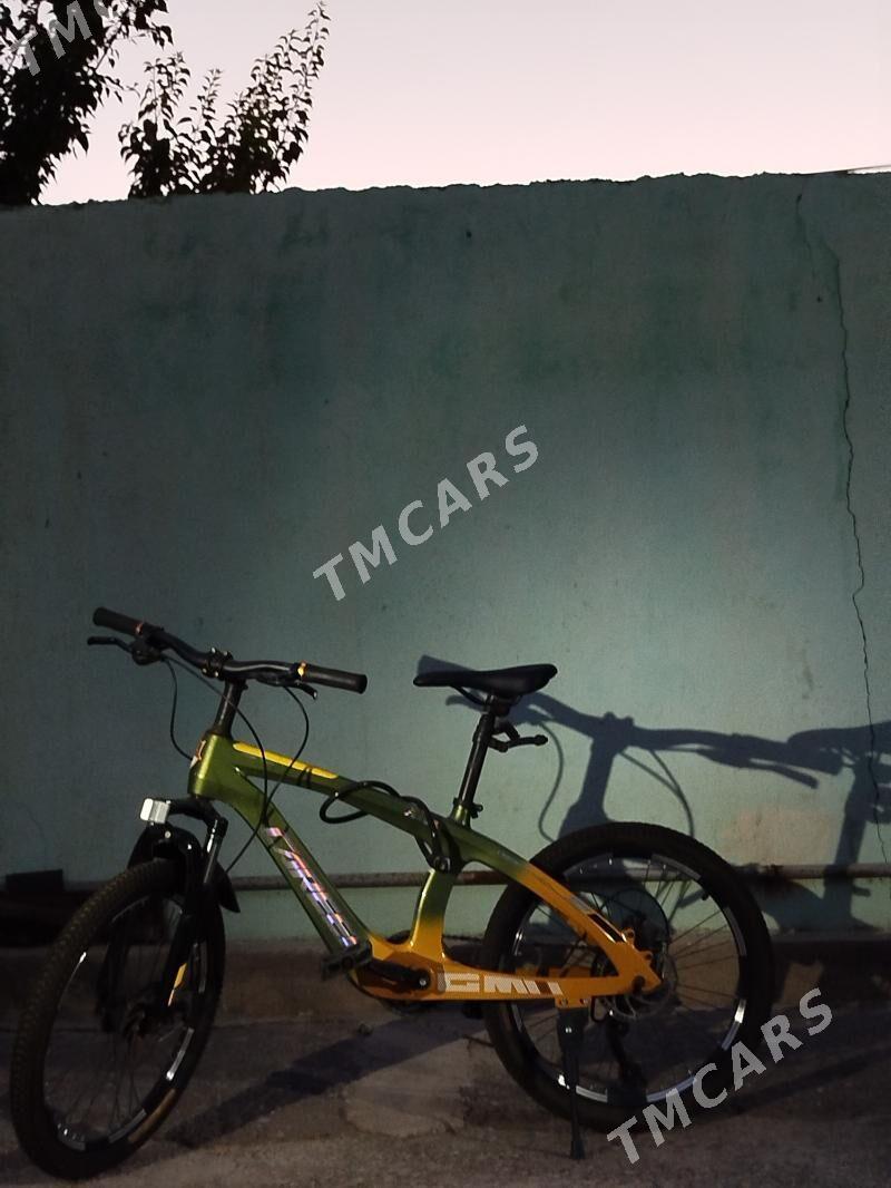 tigir - Gökje - img 2