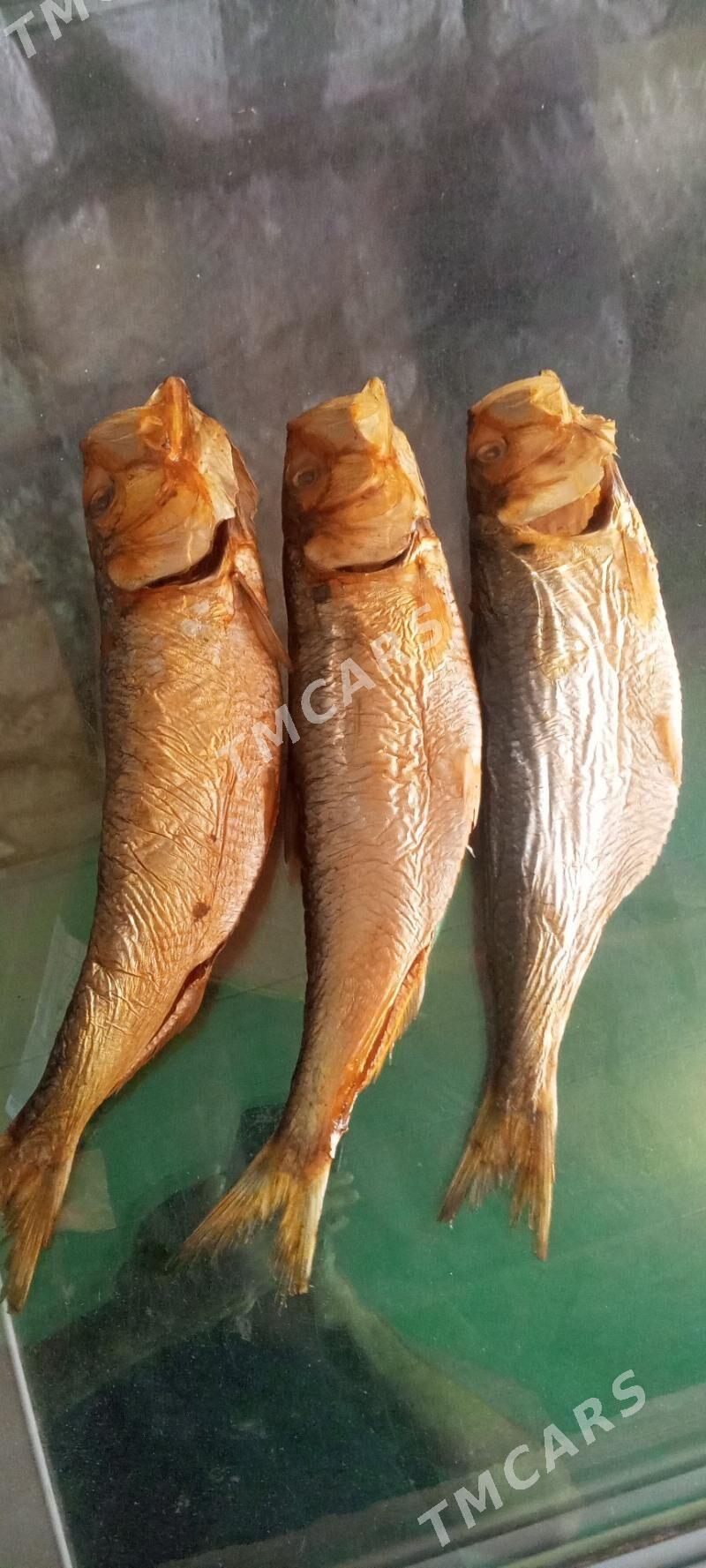 balyk - Türkmenbaşy - img 2