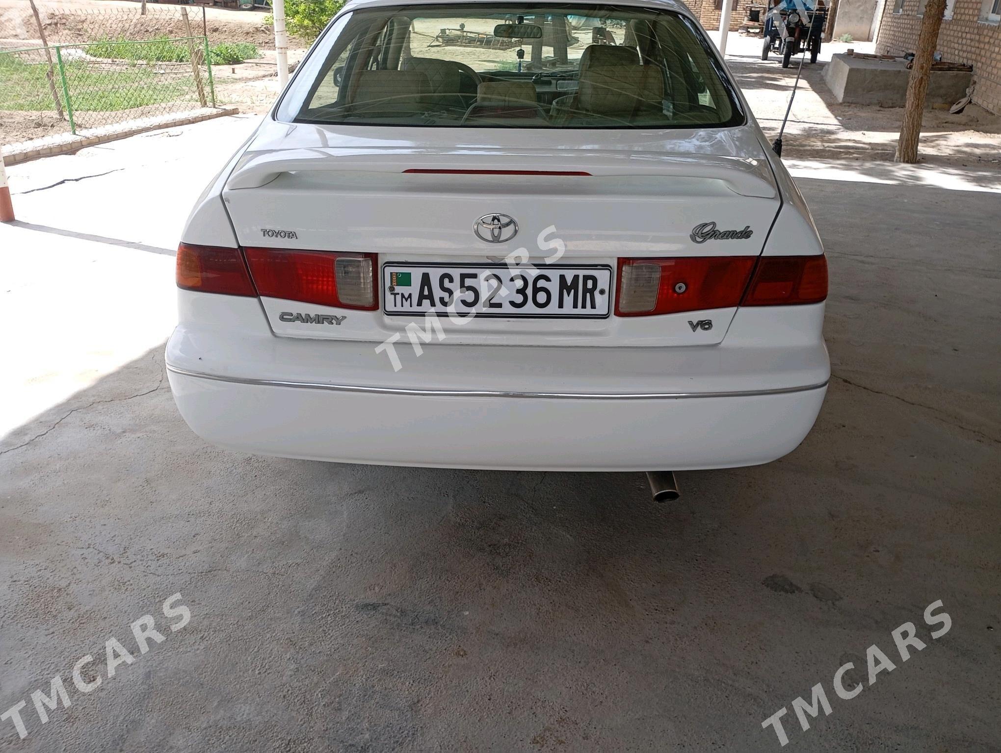 Toyota Camry 2001 - 115 000 TMT - Sakarçäge - img 4