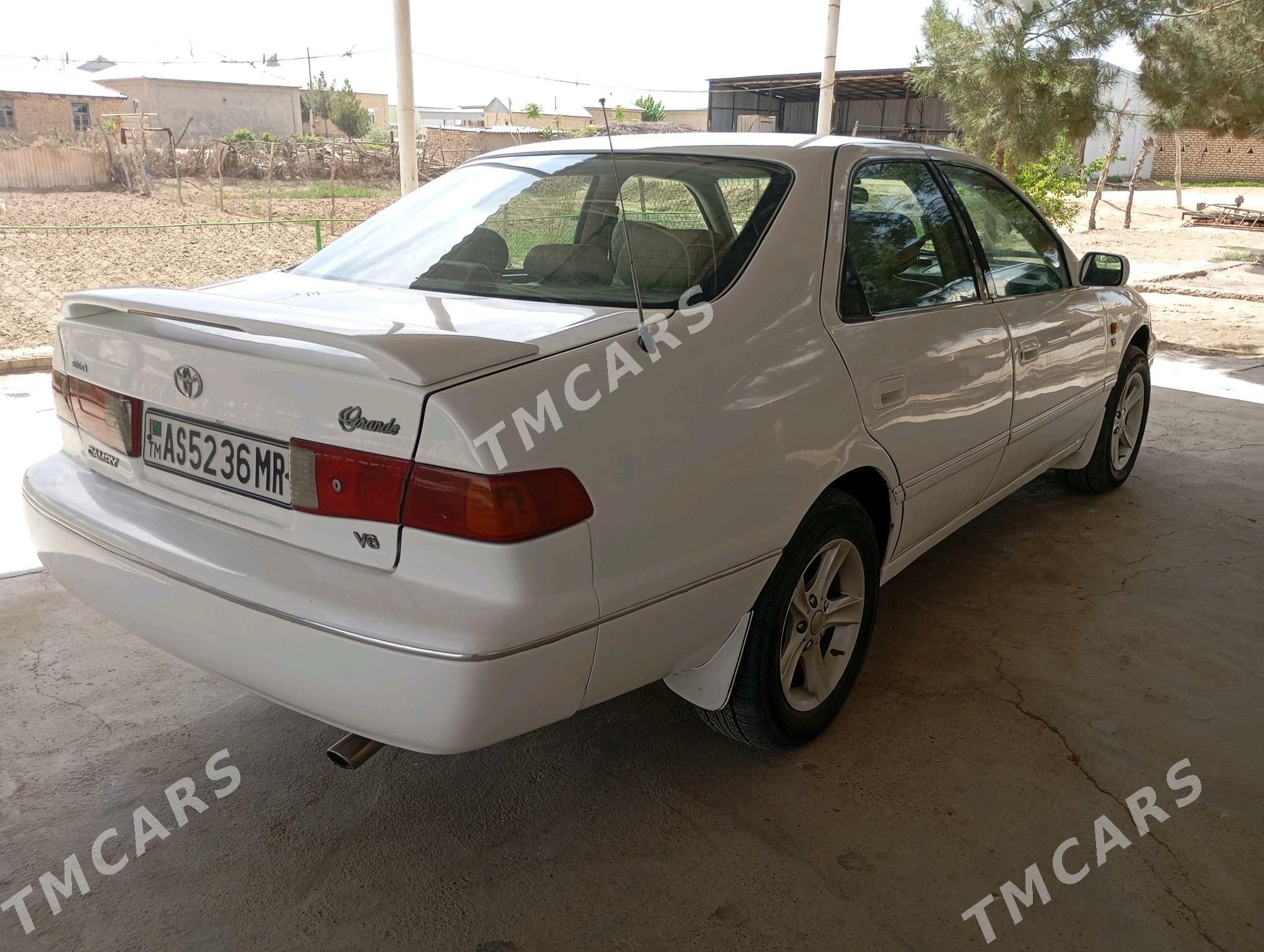 Toyota Camry 2001 - 115 000 TMT - Sakarçäge - img 7