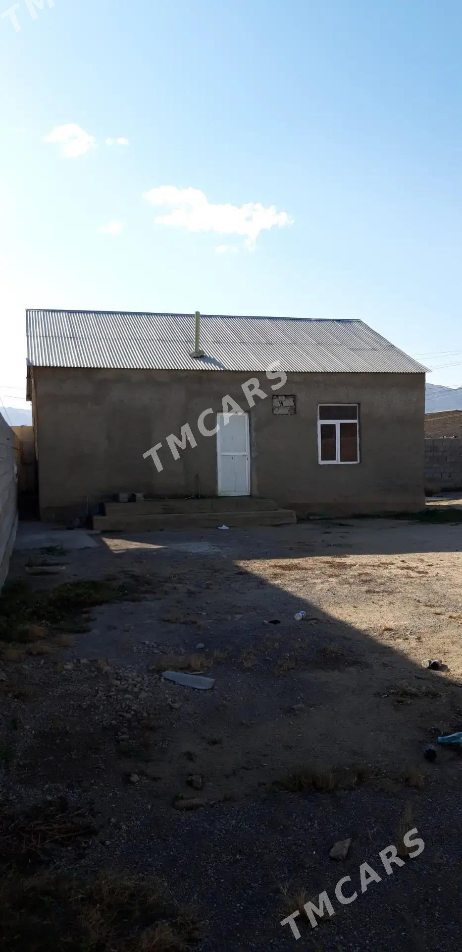 Багир" Миреве" - Bagyr - img 2
