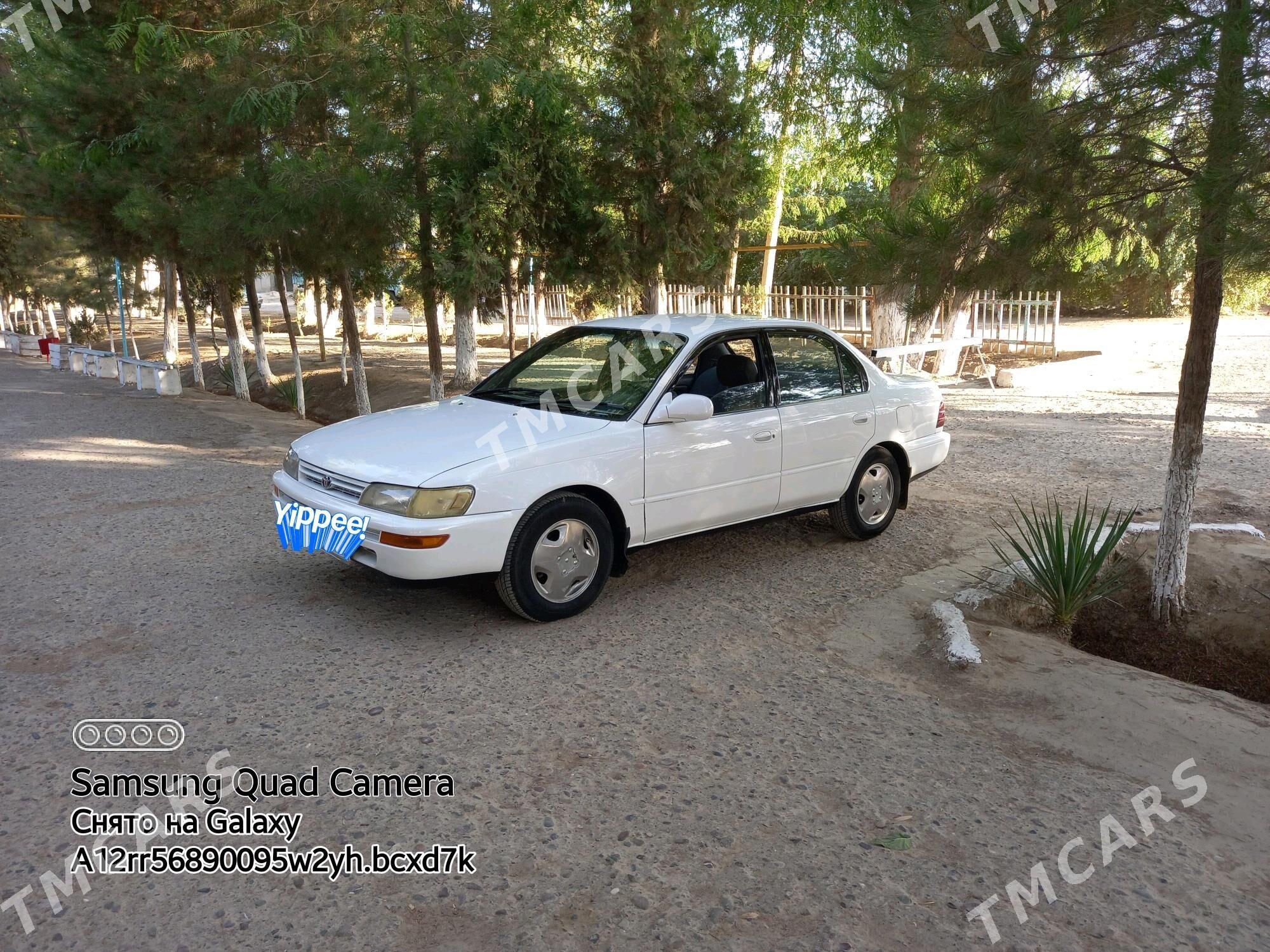 Toyota Corolla 1995 - 50 000 TMT - Murgap - img 3