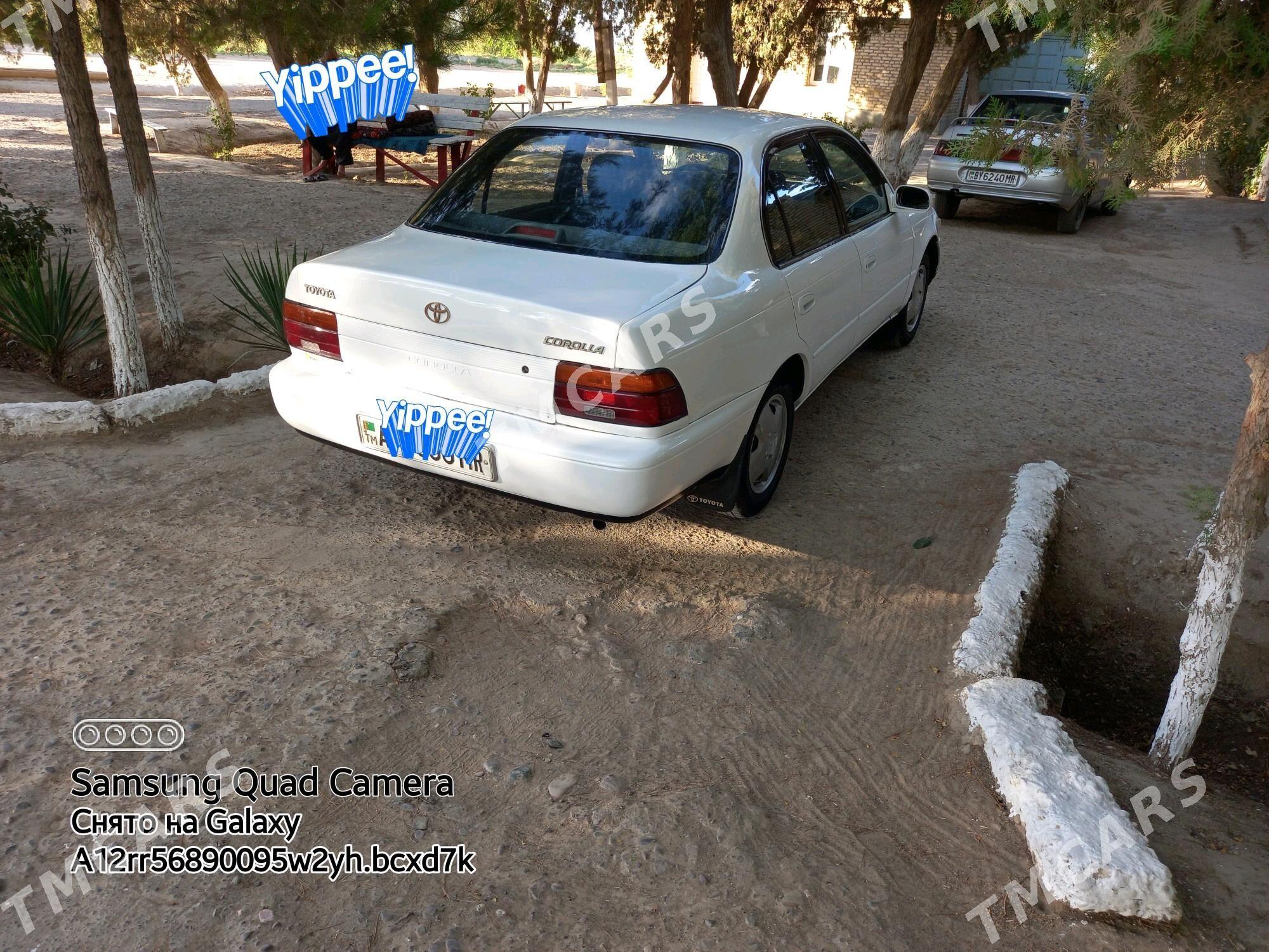 Toyota Corolla 1995 - 50 000 TMT - Murgap - img 8
