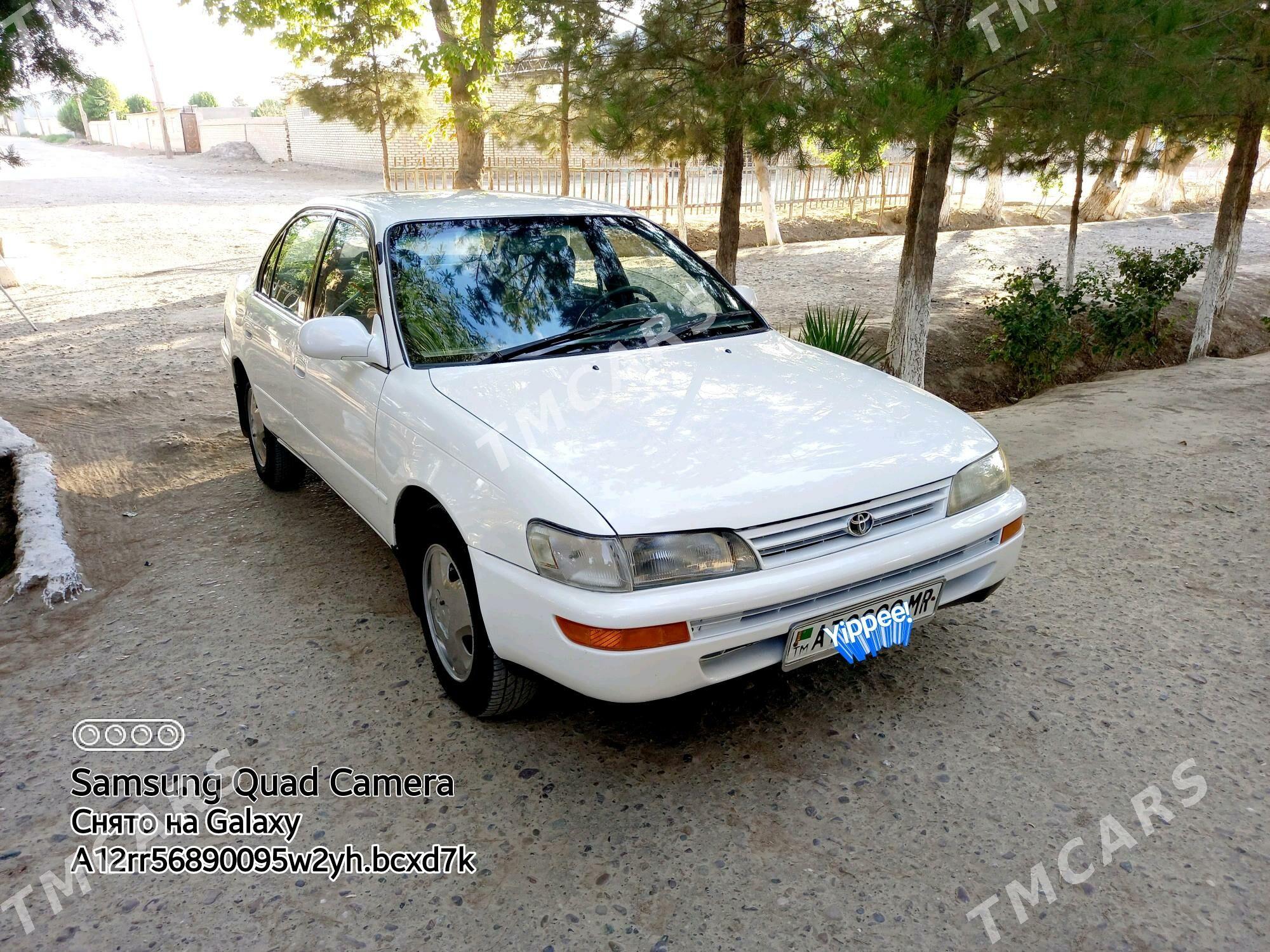 Toyota Corolla 1995 - 50 000 TMT - Murgap - img 4