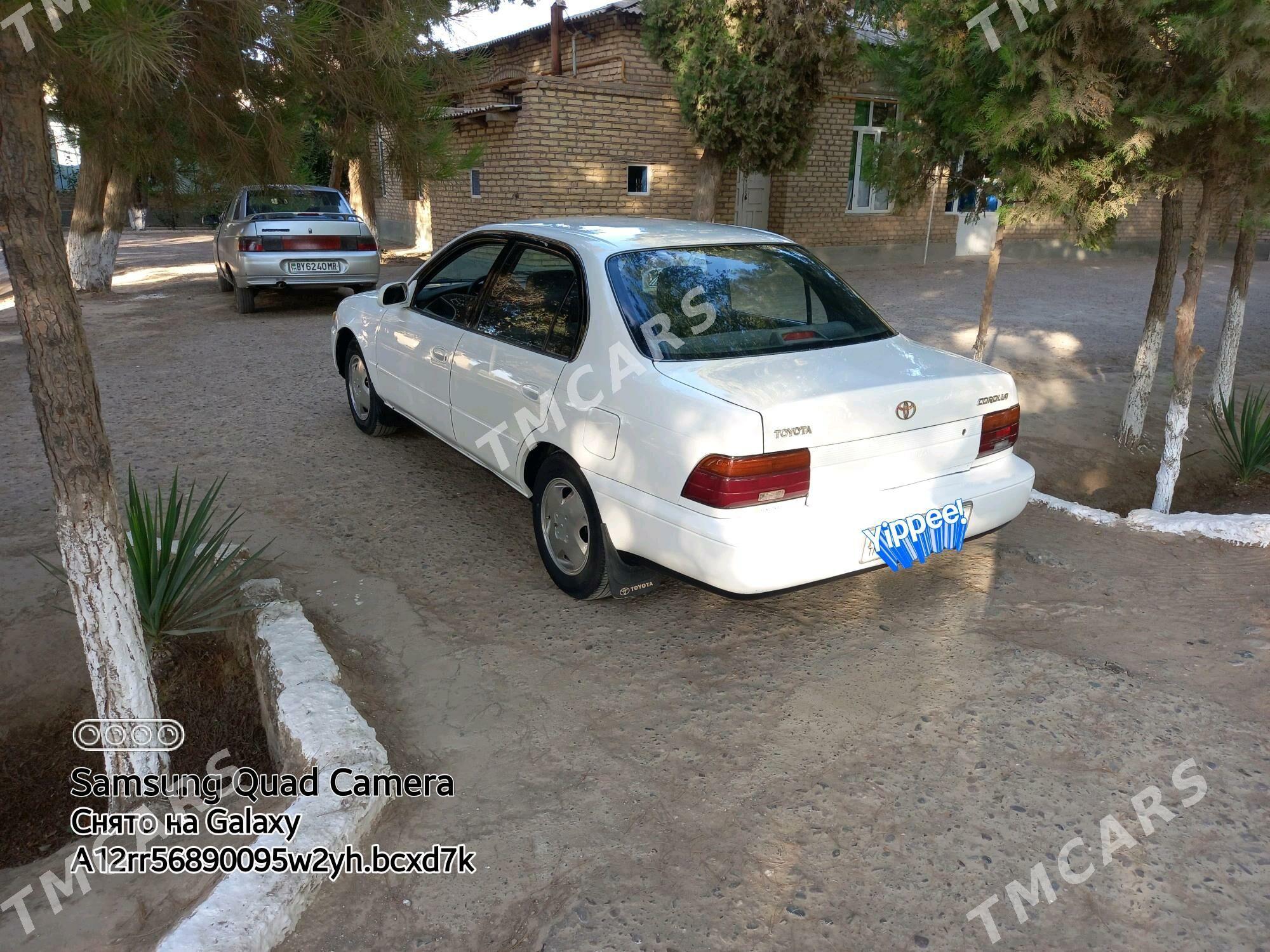 Toyota Corolla 1995 - 50 000 TMT - Murgap - img 7