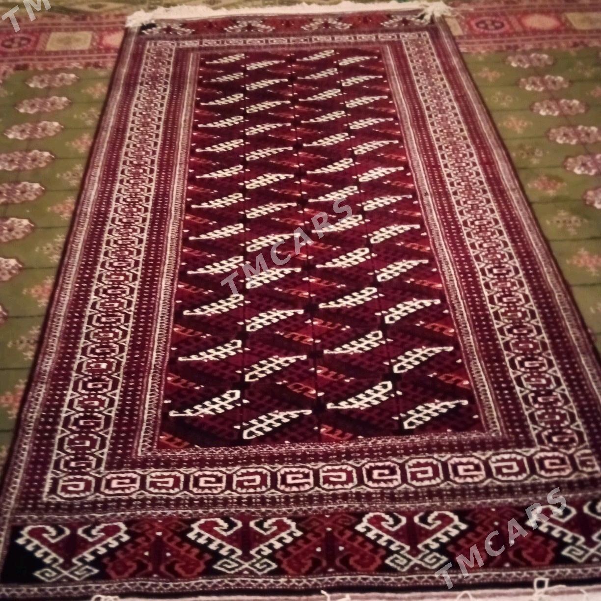 haly - Bereket - img 3