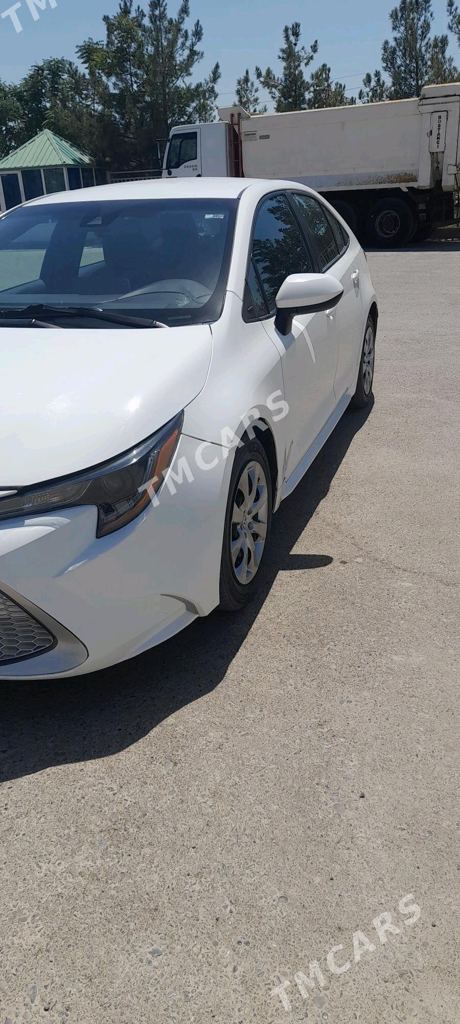 Toyota Corolla 2020 - 220 000 TMT - Mary - img 3