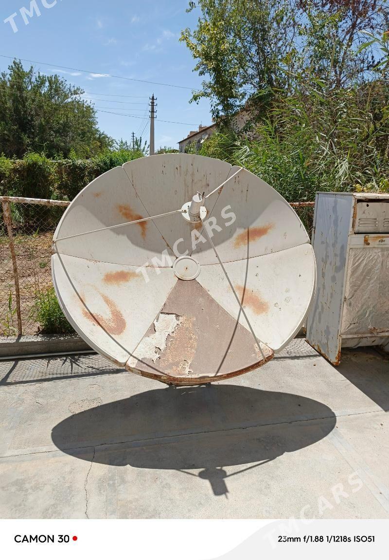 antenna - Mary - img 2