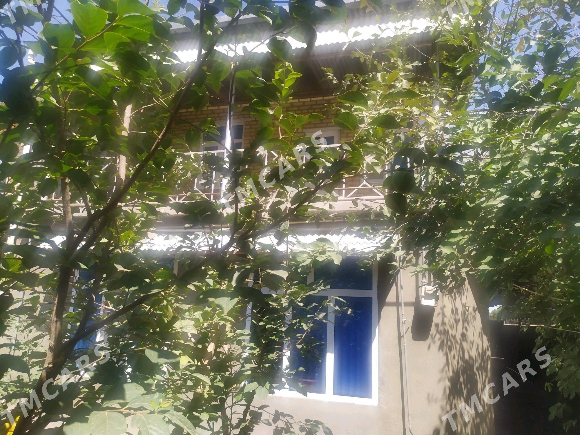 KATEŽ JAÝ - Şatlyk - img 3