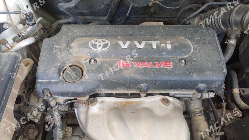 Toyota RAV4 2008 - 195 000 TMT - Гурбансолтан Едже - img 5