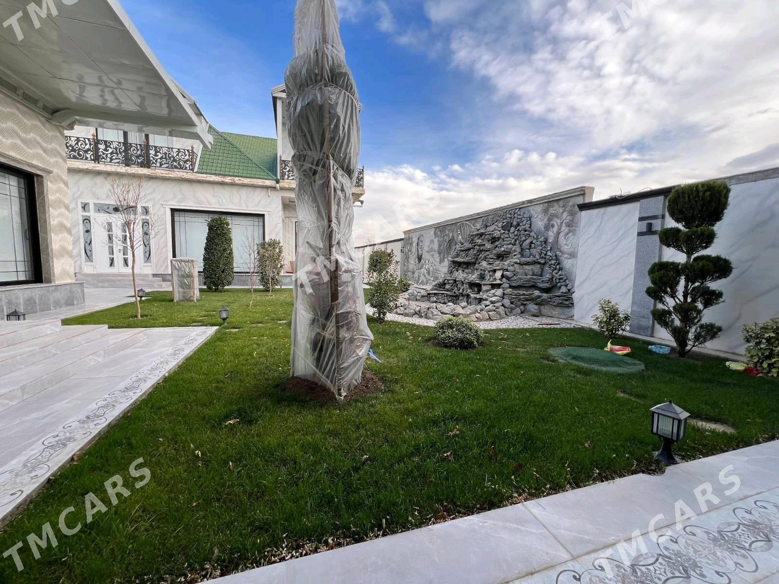 Änew kotteź. - Aşgabat - img 2