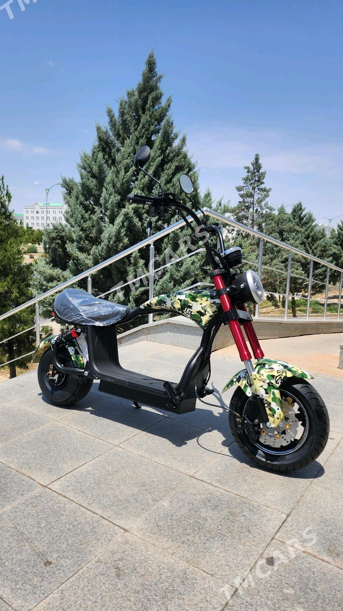 TIGIR SAMAKAT BASEYKA GONCIK - Кëши - img 4