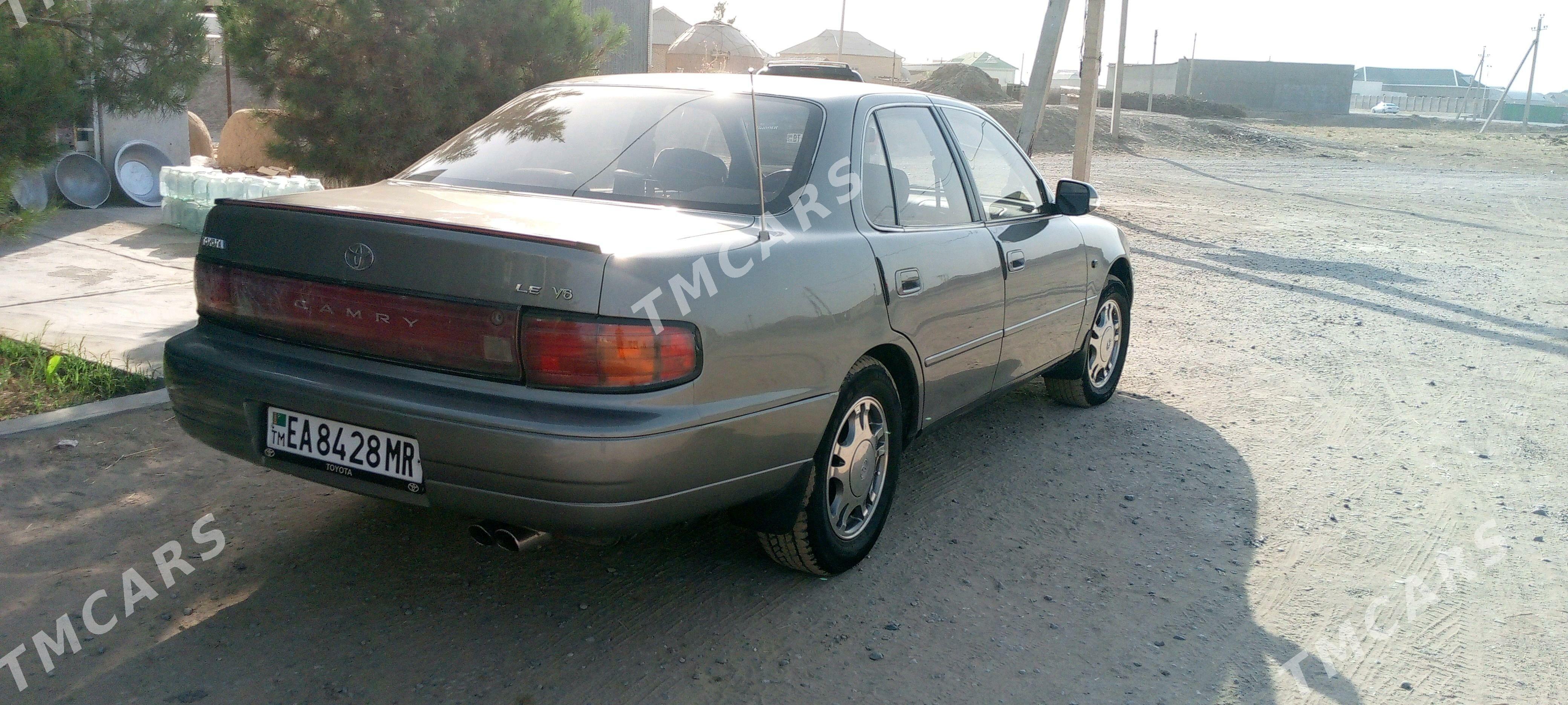 Toyota Camry 1994 - 100 000 TMT - Sakarçäge - img 2