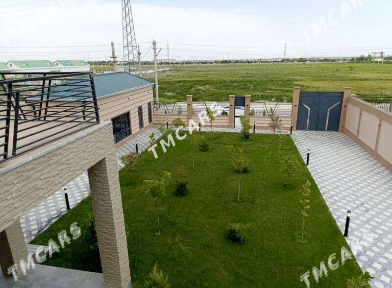 №223 Yalkym Ялкым Katej - Köşi - img 8