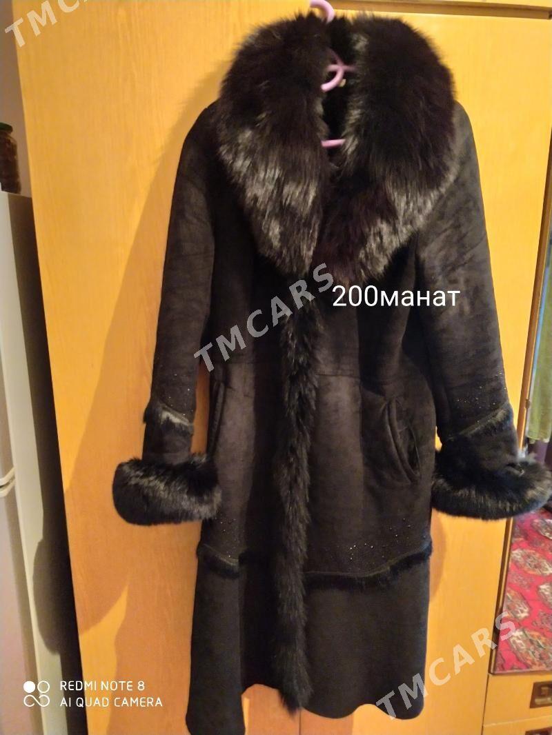 жемеир - Türkmenabat - img 2