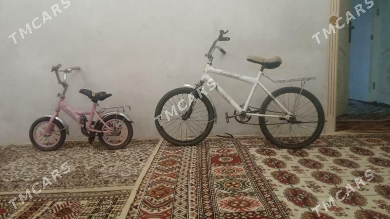 welosaped - Köneürgenç - img 3