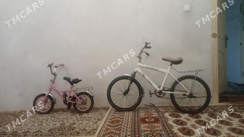 welosaped - Köneürgenç - img 2