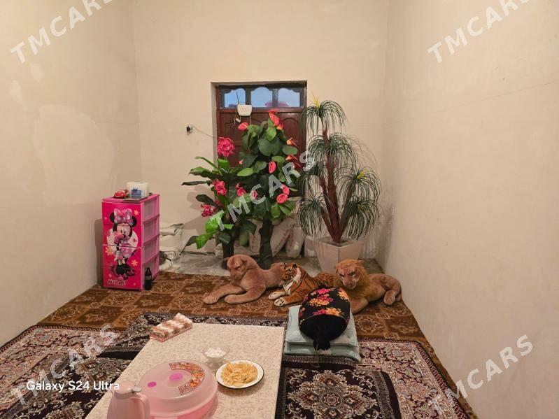 Satlyk jaý - Türkmenbaşy etr. - img 3
