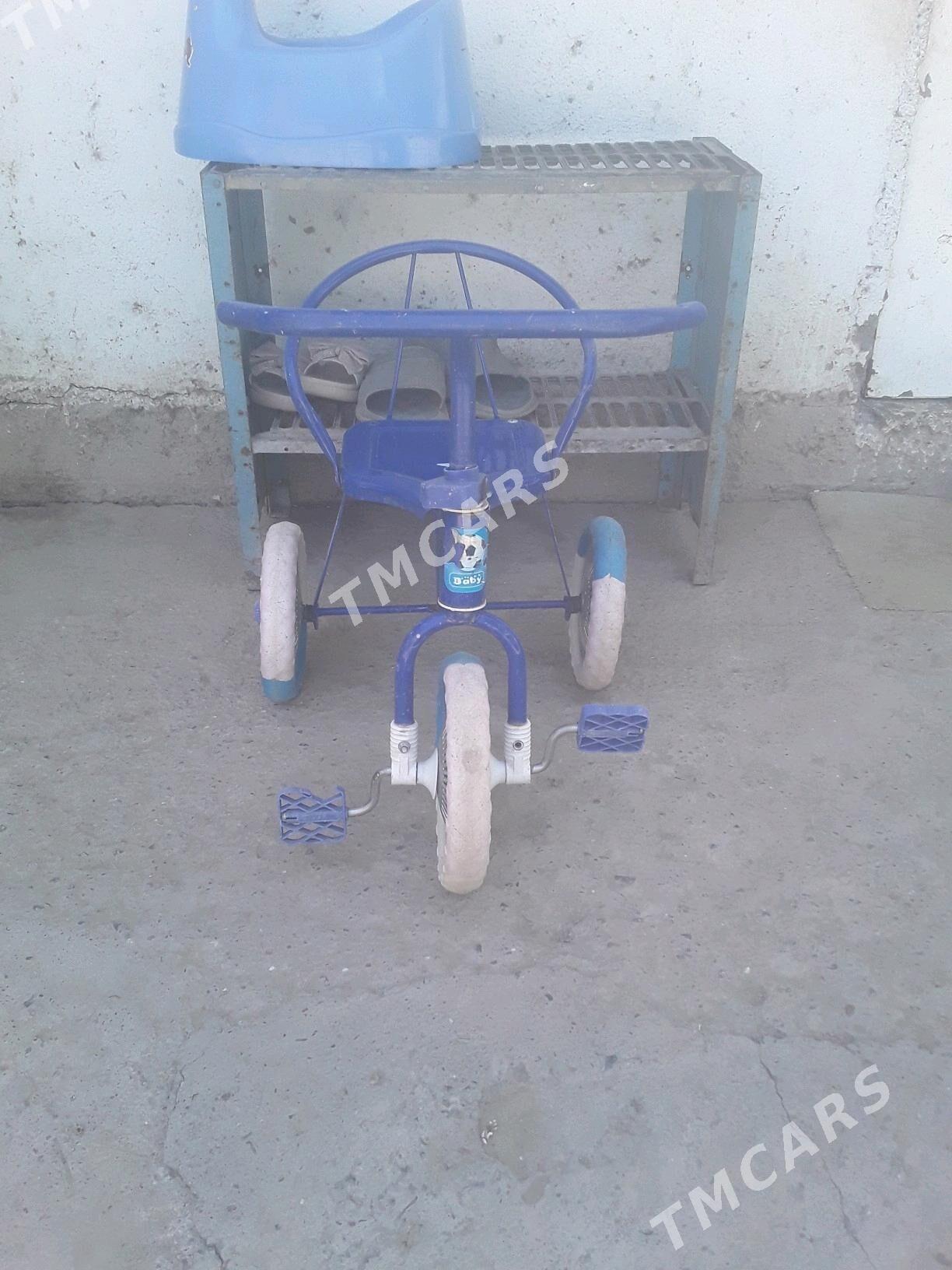 çaga tigir - Bagyr - img 1