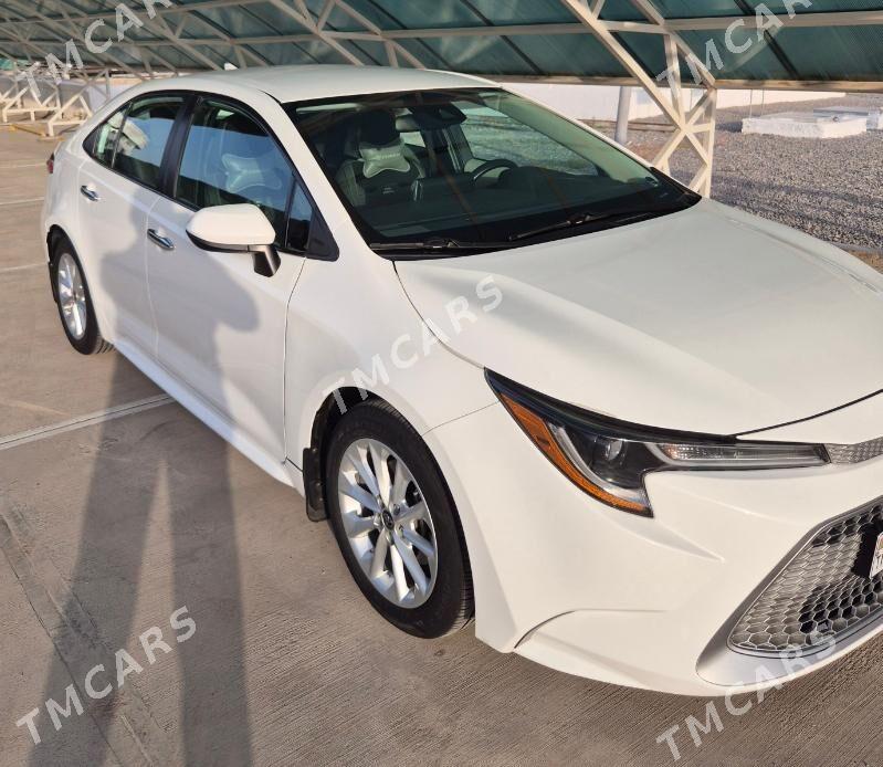 Toyota Corolla 2020 - 265 000 TMT - Гуртли - img 2