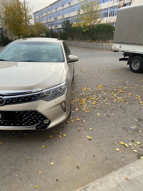 yewropeyka obilsowka nikl 150 TMT - Ашхабад - img 2