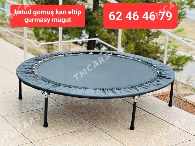 TIGIR BASEYKA GONCIK BATUD - Кëши - img 6