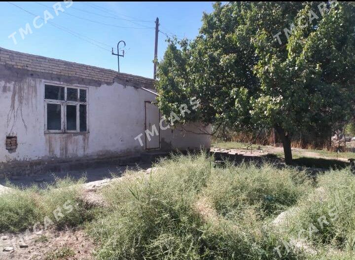 Turkmenabat satılık daça - Türkmenabat - img 2