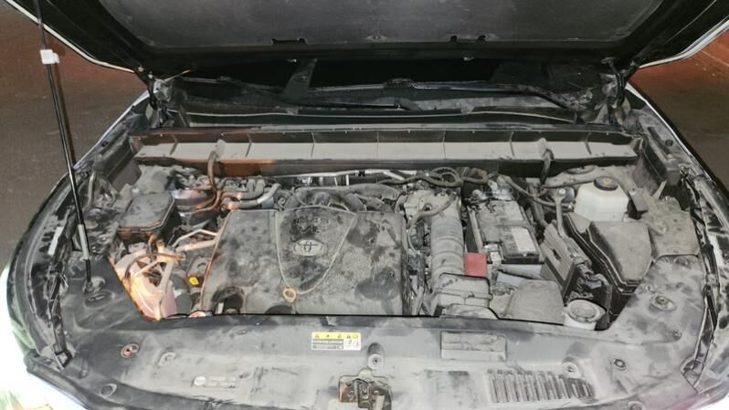 Toyota Highlander 2020 - 431 000 TMT - Mary - img 6