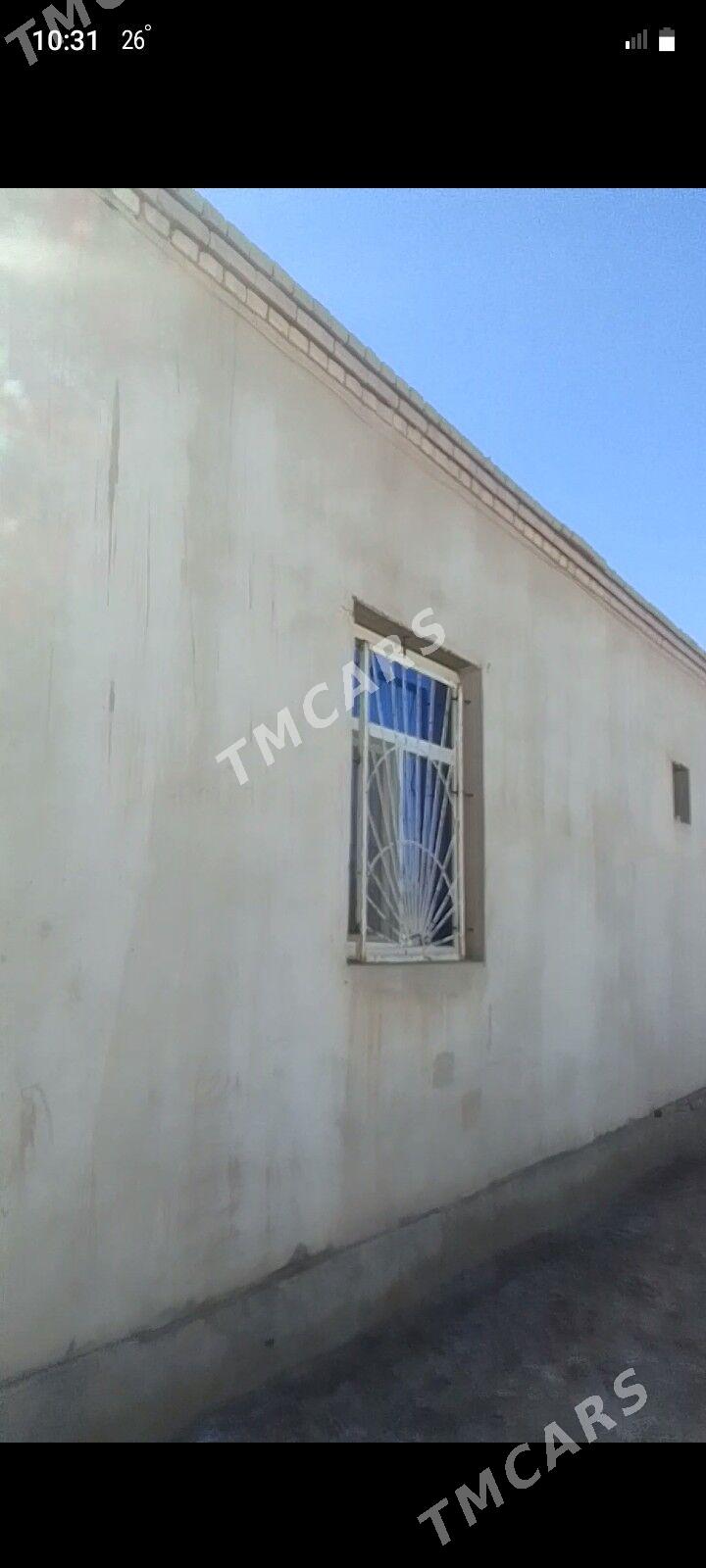 dasoguz gulistan saherce - Дашогуз - img 5