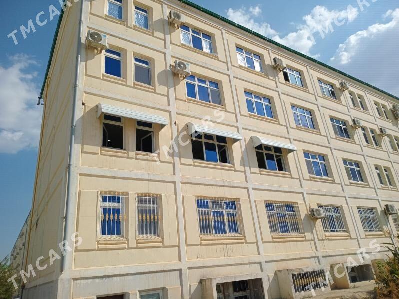 Kazyrek Казырек swarka ussa - Aşgabat - img 7