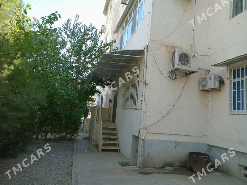 Kazyrek Казырек swarka ussa - Aşgabat - img 10