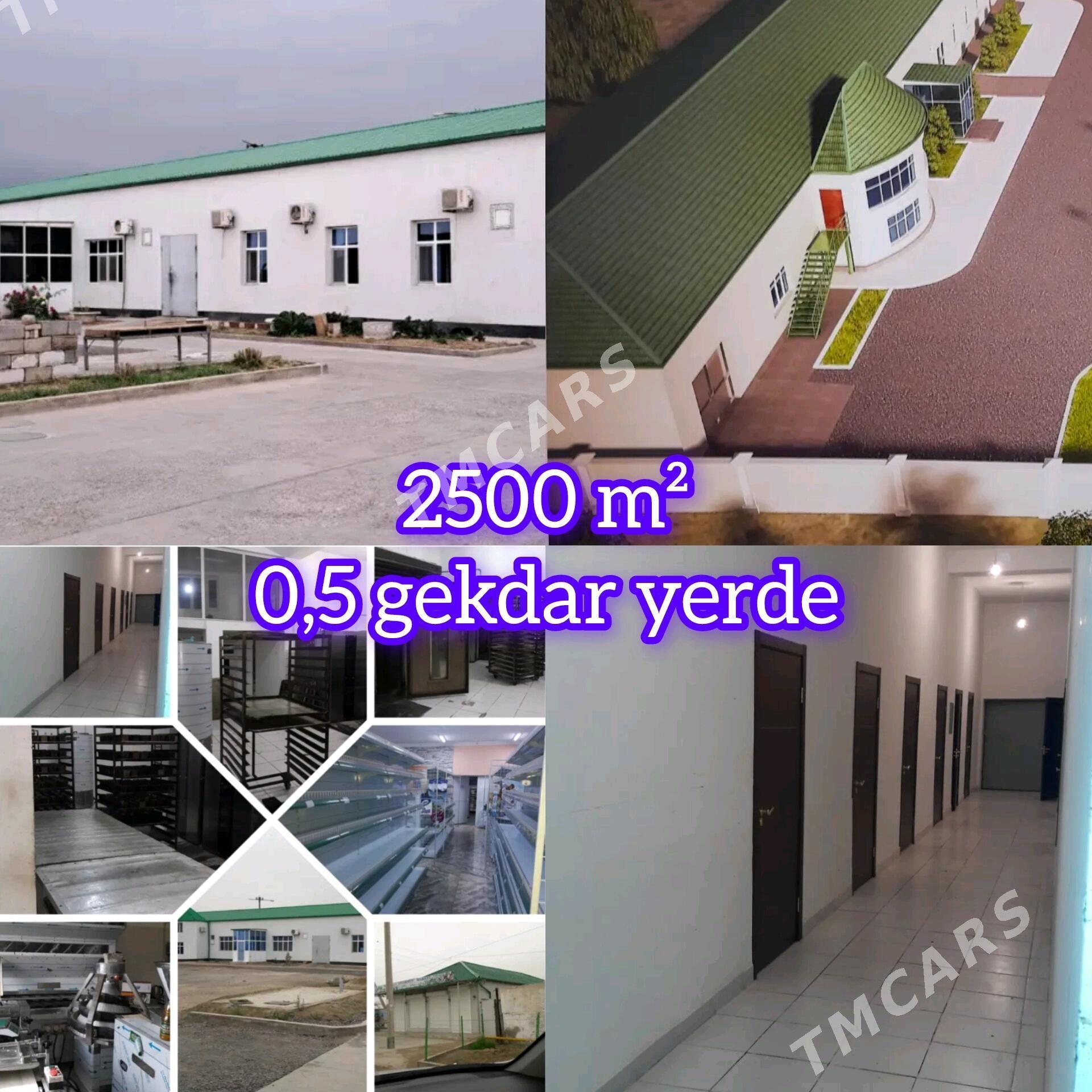 Önumculik 0,5 gekdar - Aşgabat - img 2