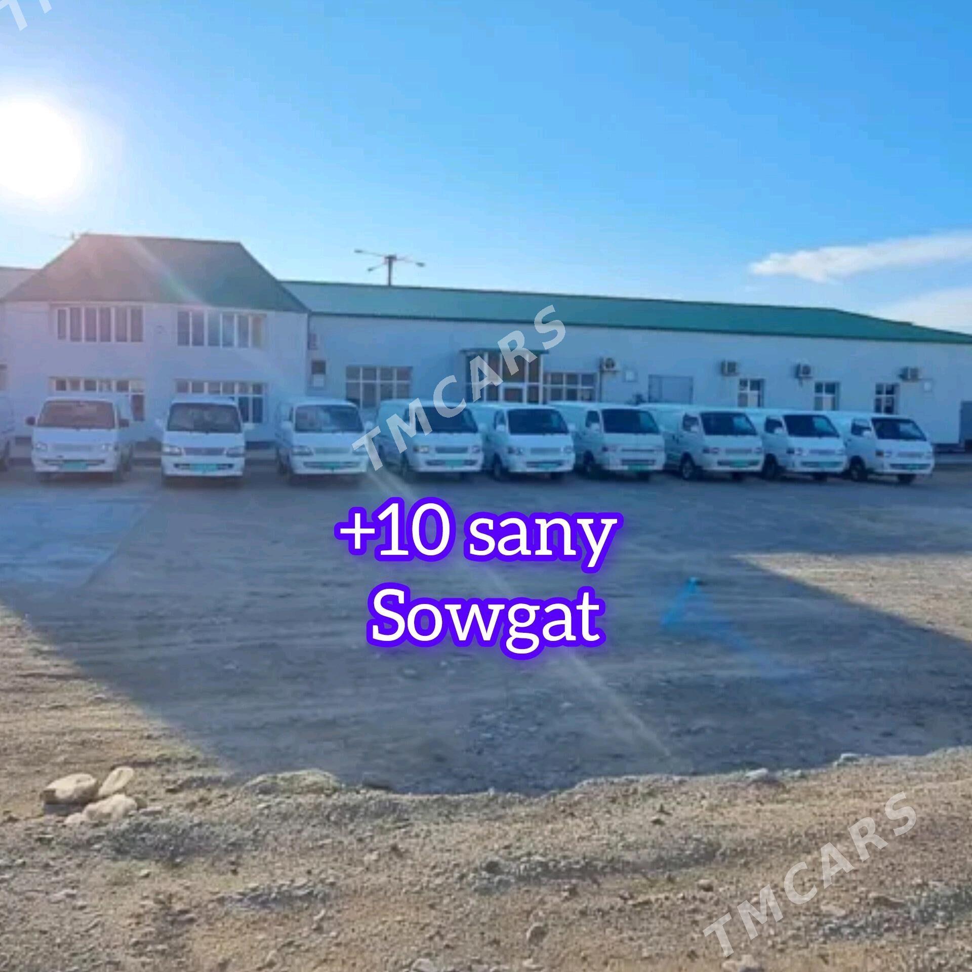 Önumculik 0,5 gekdar - Aşgabat - img 7