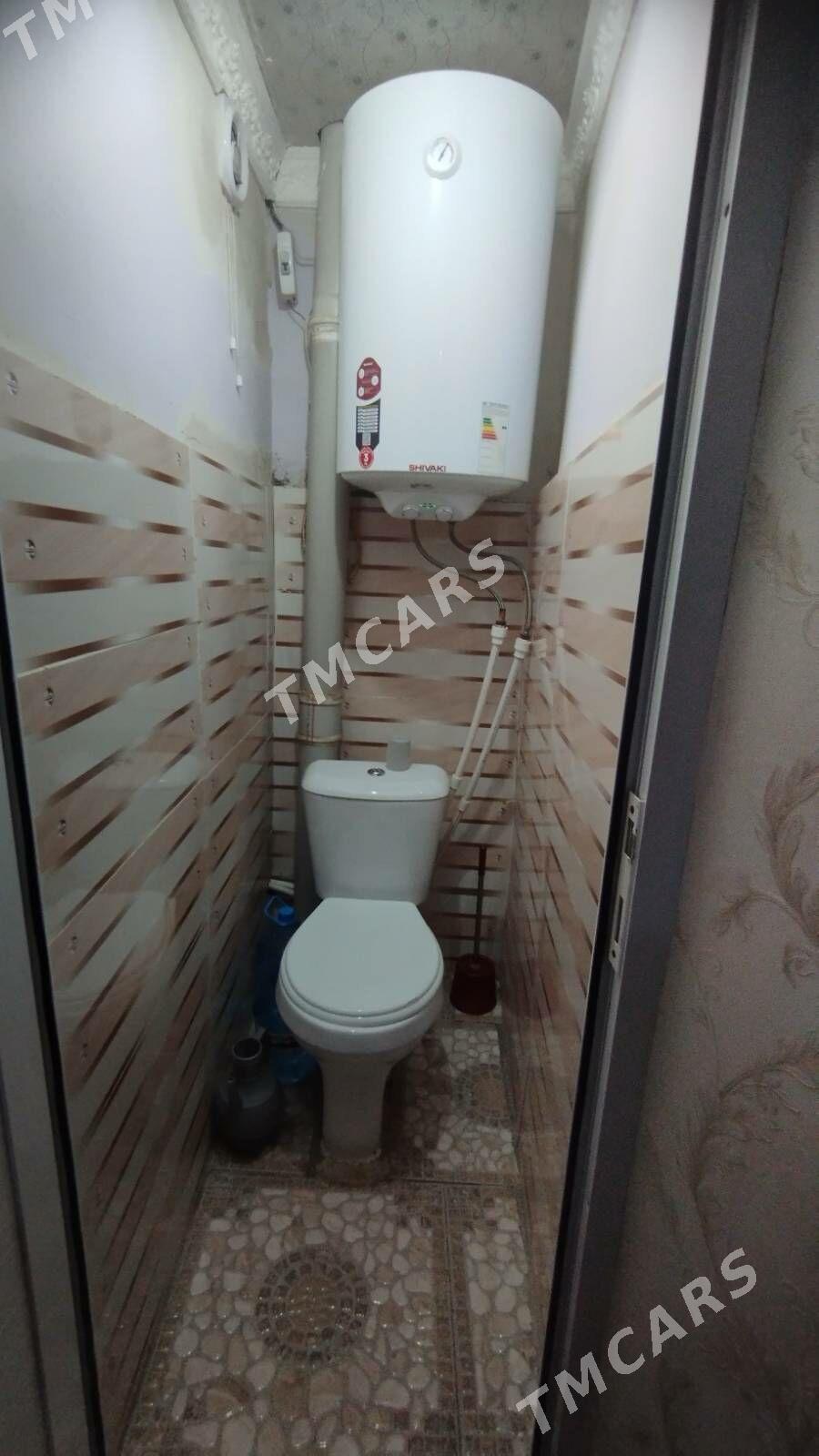 BUZMEYİN TAMATNY - Büzmeýin - img 2