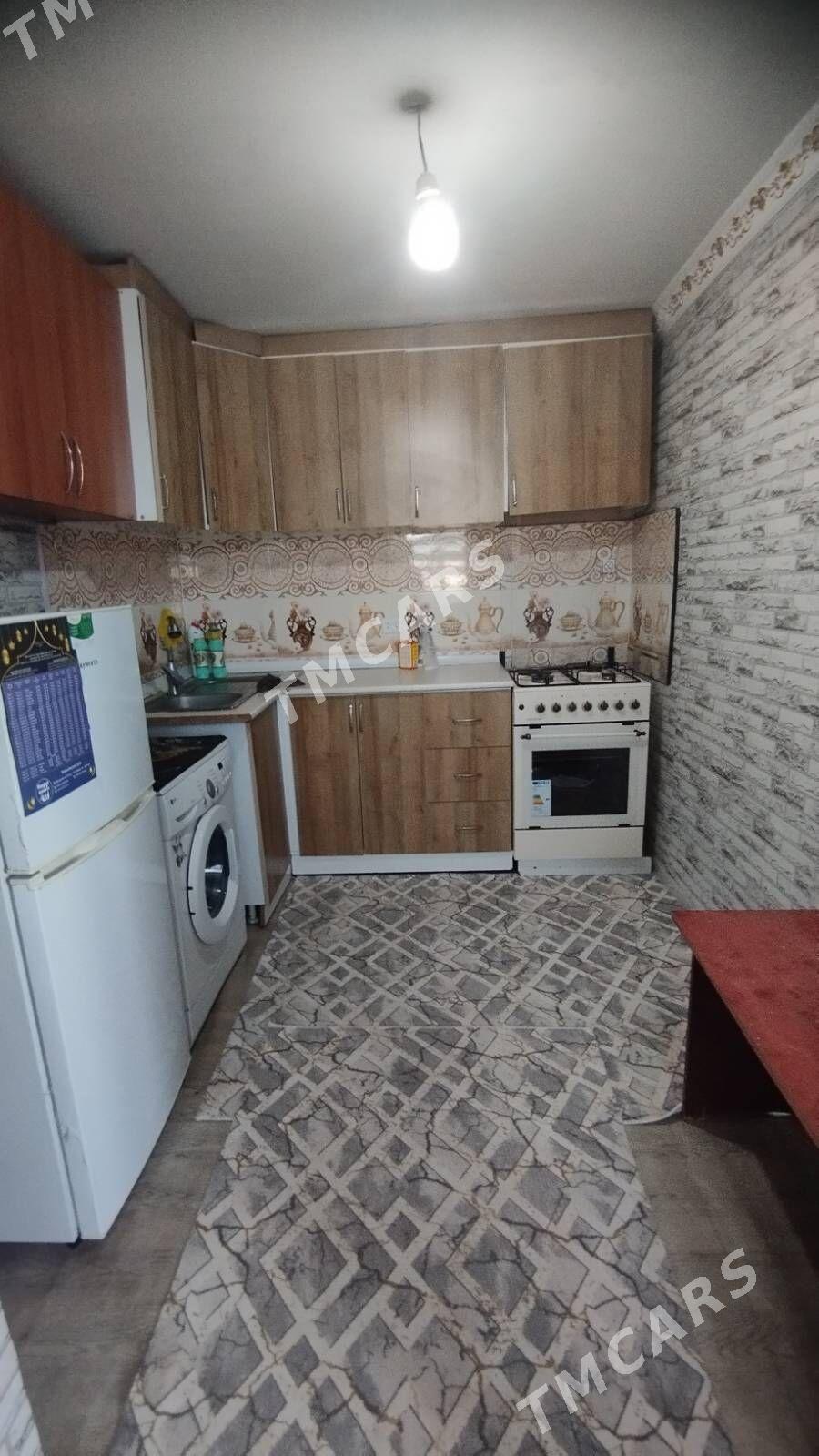 BUZMEYİN TAMATNY - Büzmeýin - img 6