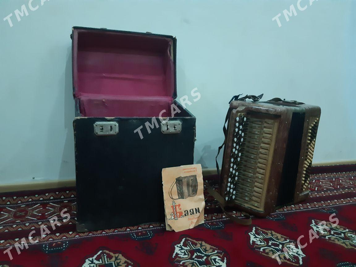 Baýan - Türkmenabat - img 2