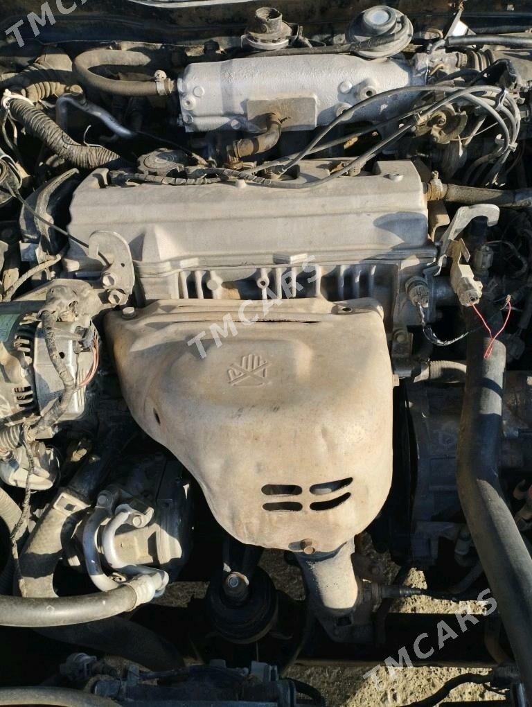 Toyota Camry 2000 - 110 000 TMT - Boldumsaz - img 6