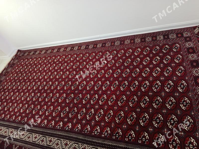 haly - Balkanabat - img 2