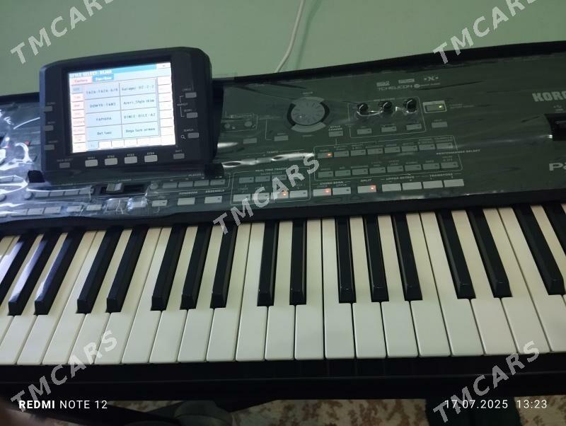 KORG PA3X - Mary - img 4