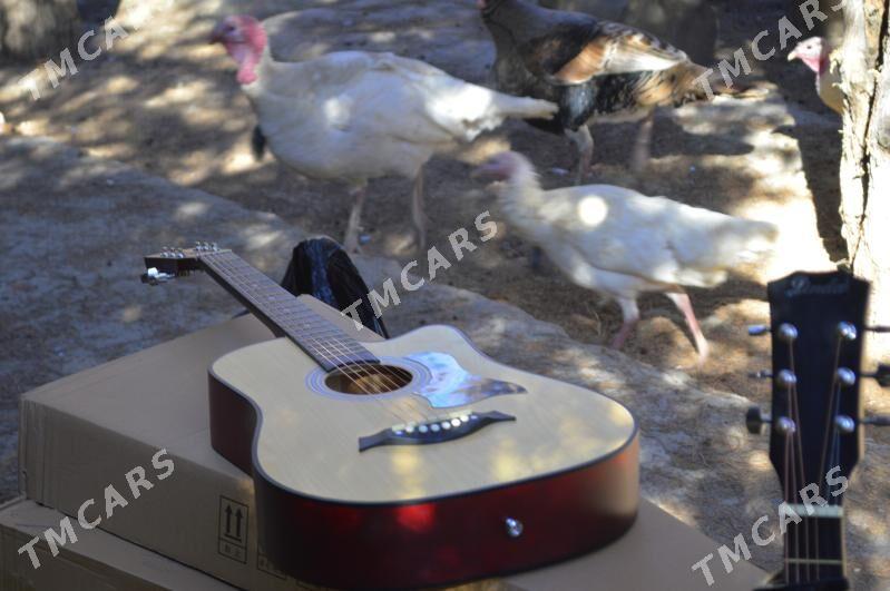Paket gitara (linda) - Дашогуз - img 2