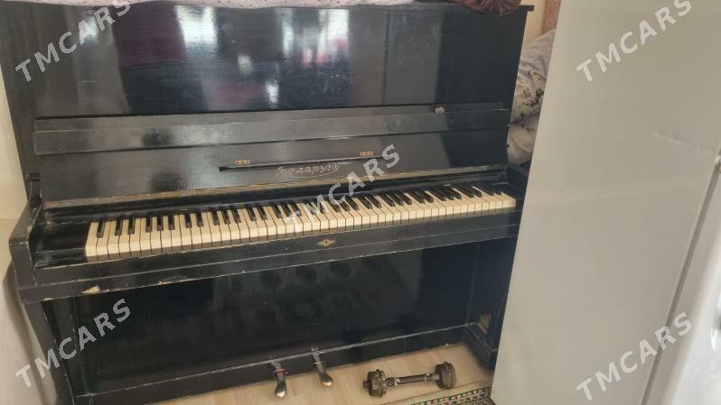 pianina - Анев - img 2