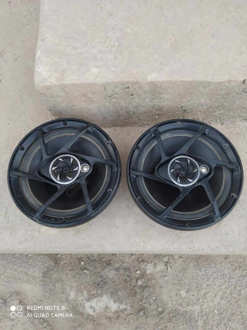 pioneer garpyz 1 000 TMT - Дашогуз - img 2