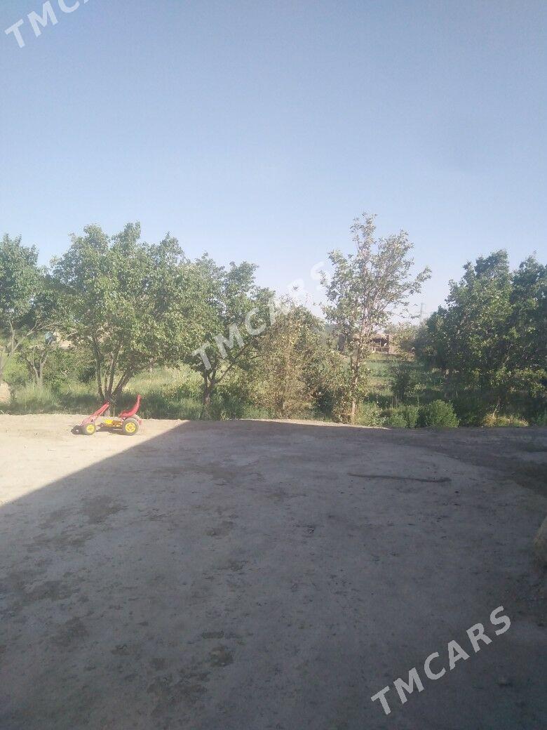 dilewar - Daşoguz - img 4
