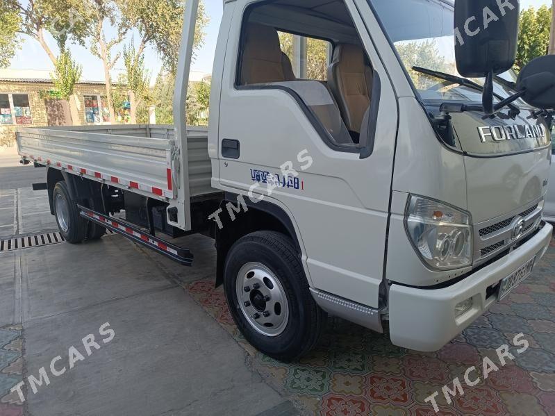 Forland H2 2016 - 170 000 TMT - Mary - img 8