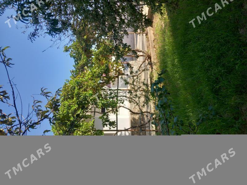 daca - Mary - img 10