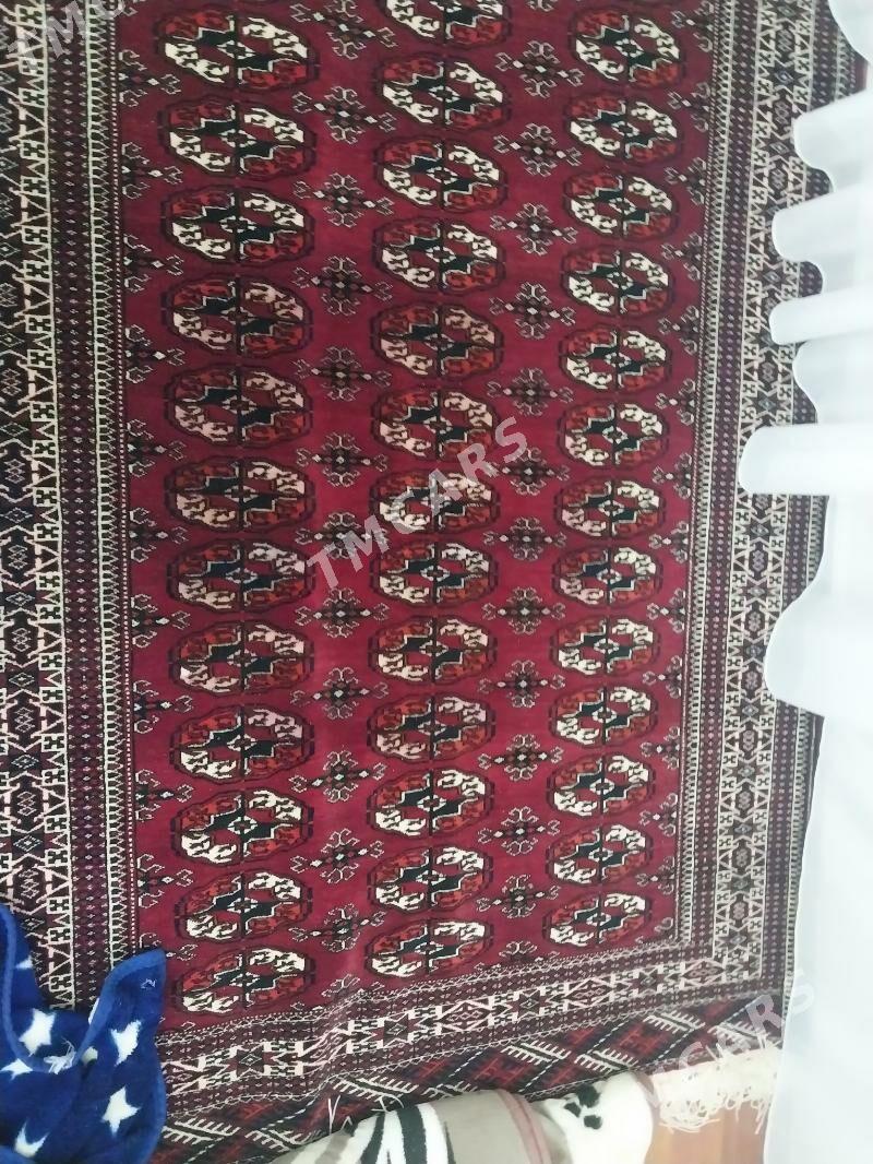haly - Türkmenbaşy - img 2