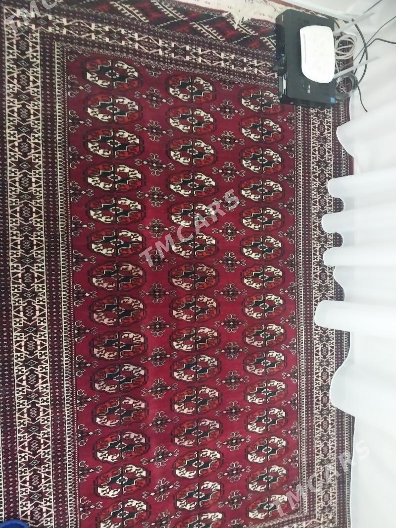 haly - Türkmenbaşy - img 3