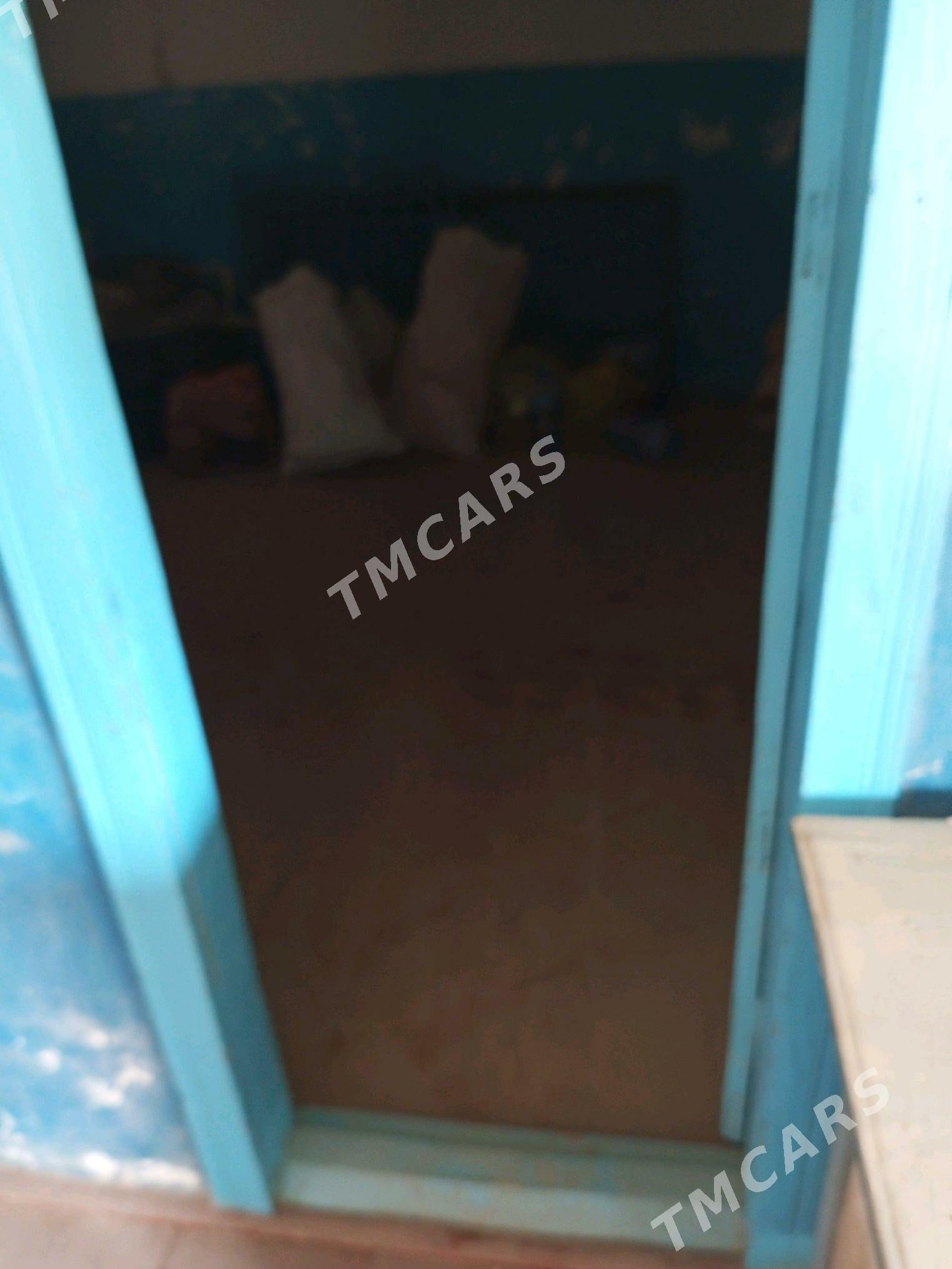 Ağaç jay - Esenguly - img 2